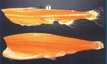 TRIM A1.jpg